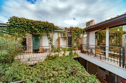 Hotel Savojo 5