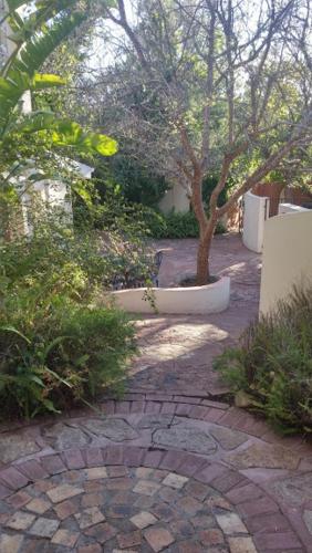 Garten, Annies Cottage in Springbok