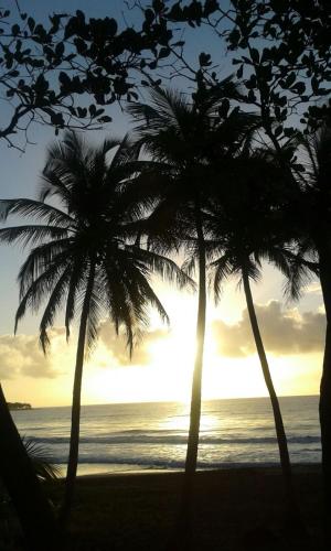 Surrounding environment, Maison de la plage in Trois-Rivieres