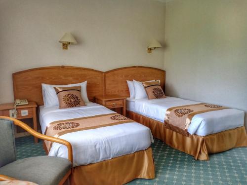 Terrace Hotel - image 2