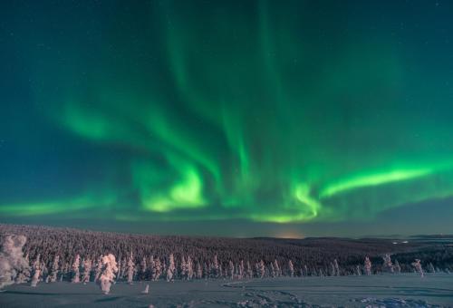 Northern Lights Village - main image