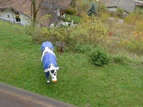 Alpenappartement Claudia – Piesendorf, SD
