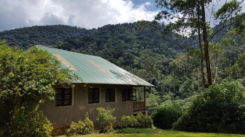 Bwindi Guest House