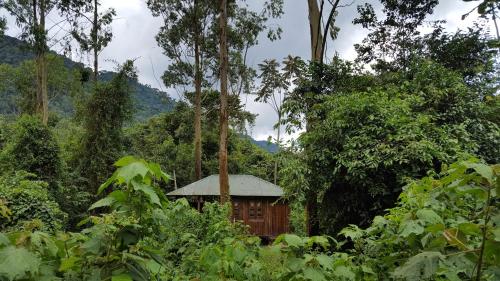 Bwindi Guest House