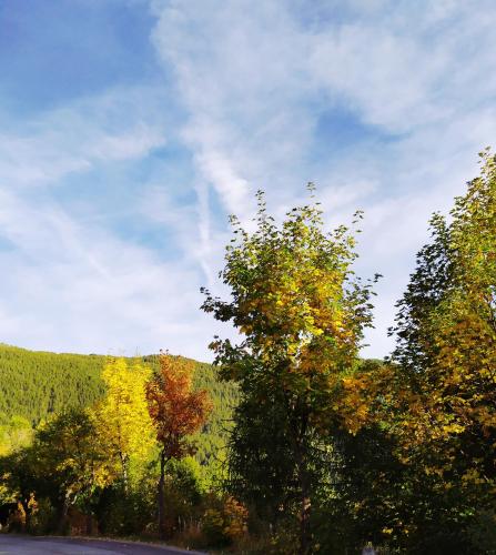  Chez Lucie in Châtillon