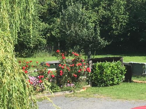 Le Pré aux Daims photo 19