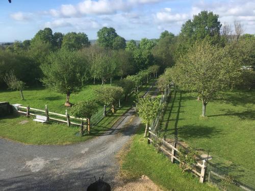 Le Pré aux Daims photo 22