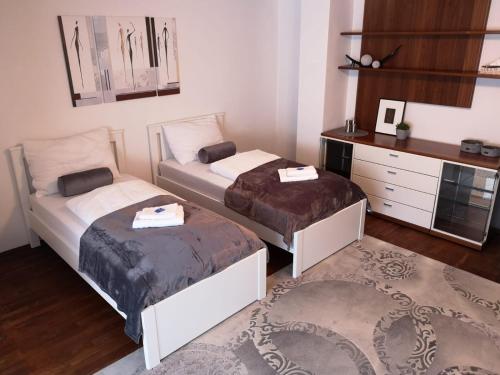 Alps Apartment in 聖維伊恩蓬高