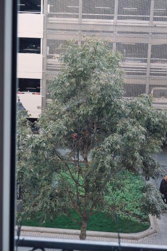 Belle Apartments - Obilicev Venac - image 14