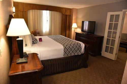 Wyndham Houston near NRG Park/Medical Center