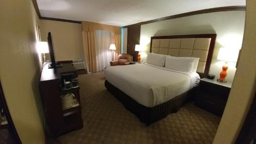 Wyndham Houston near NRG Park/Medical Center