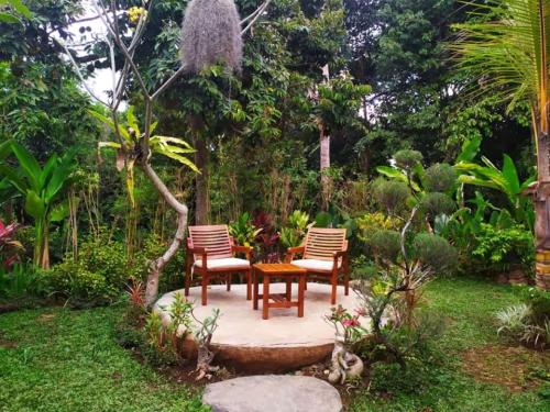 BatanTop Ubud guest house 4