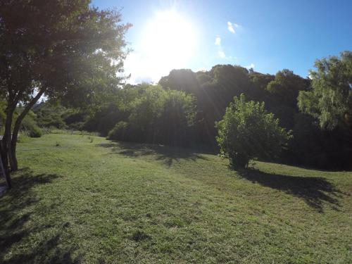 Alpamam in Alpa Corral