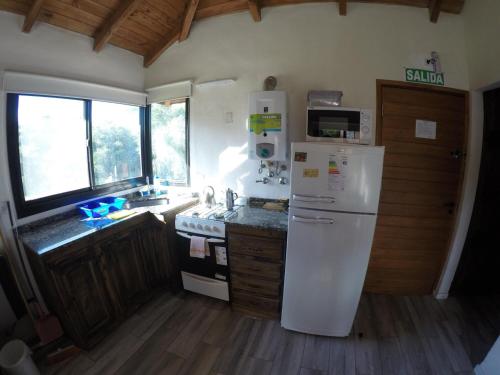 Alpamam in Alpa Corral