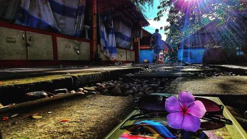 Mapping Hostel – Chiang Mai, IA