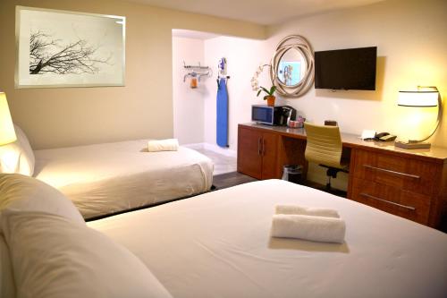 Studio Suite with Two Double Beds - Non-Smoking