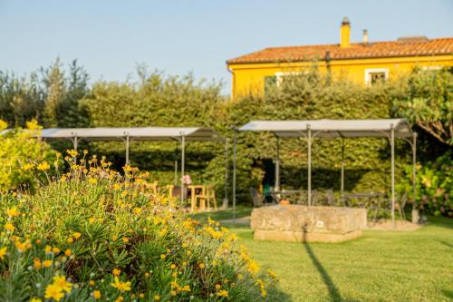 Wine Resort Ledà d'Ittiri - image 12