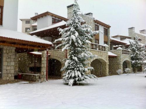 Sky Shades chalet gîte à louer Vlakhólakkos