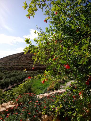 Hotel Rural Cortijo La Alberca