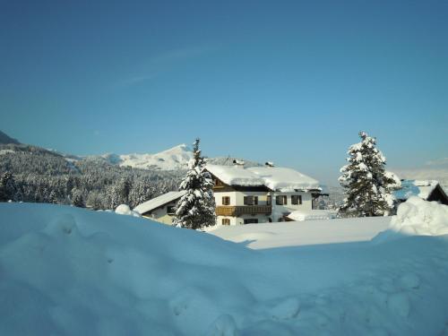Foidl Simon - image 13