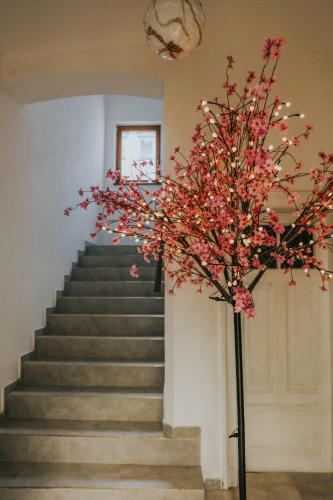 OASIS Teplice - image 14