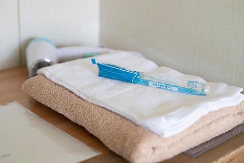 TSUKASA HOUSE English OK Kumano Kodo Experienced Lodge Within walking distance from station 無料駐車場あり