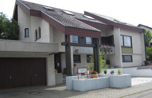 Ferienwohnungen Krauss - Apartment - Ringsheim