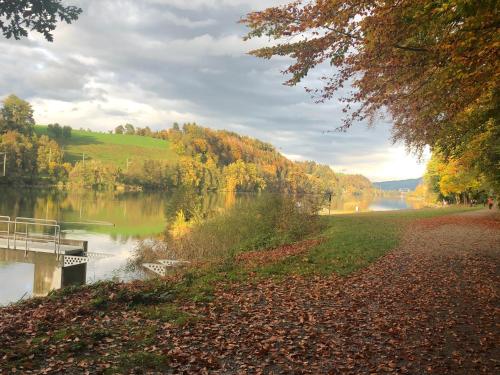 Charming Studio near Rotsee Lucerne Kitchen, WiFi, Washing machine in Luzern, Schweiz