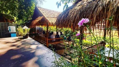 Mapping Hostel – Chiang Mai, IA