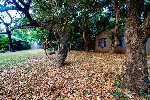 Emdoneni Lodge with Zululand Cat Conservation Project Emdoneni Lodge with Zululand Cat Conservation Project