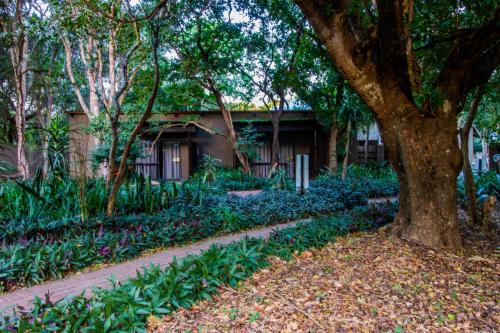 Emdoneni Lodge with Cheetah Project & Spa