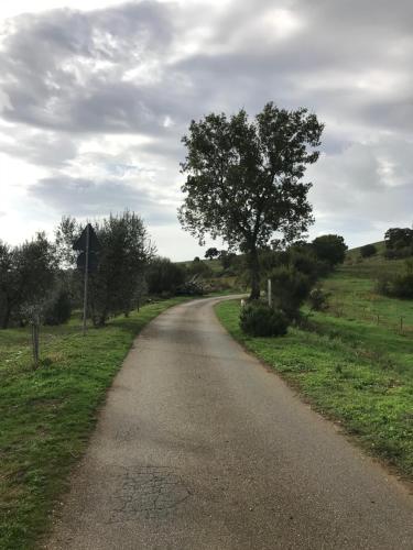  Podere Pini, Pension in Magliano in Toscana