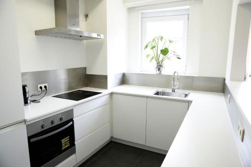 The Grand Apartment. Center of Antwerp, Amberes (foto 6)