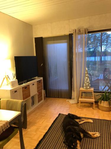 Joutiaisentie I 55 Forest apartment