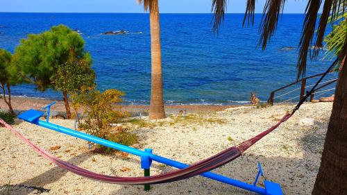 Astrofegia Beachfront Villa