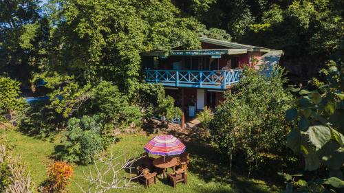 Treetops Boutique Hotel & Bungalows