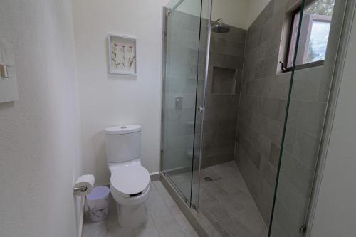 226419610 Villa Toscana ValQuirico Lofts & Suites Hotel Boutique