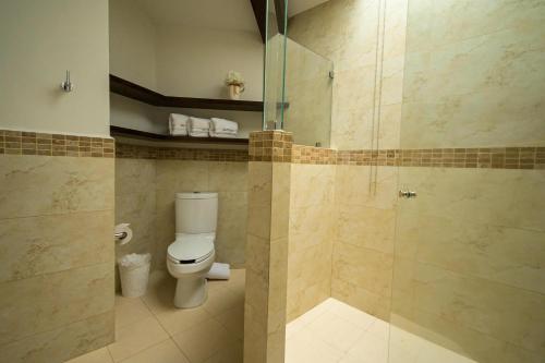 226420792 Villa Toscana ValQuirico Lofts & Suites Hotel Boutique