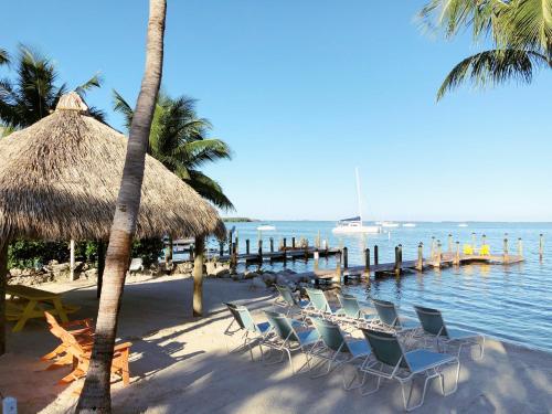 Strand, The Pelican Key Largo Cottages in Key Largo
