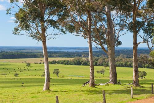 Augusta Sheoak Chalets