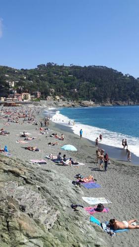 Case vacanza Reggimonti Cinque Terre