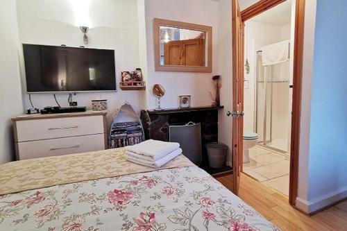 Cosy Snug en-suite with stunning views near Lyme Regis - Private balcony & real open fireplace - Free Parking