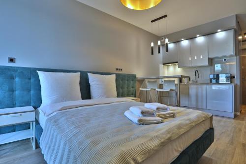 アパートメンツ ライスカ クラクフ バイ レンターズ