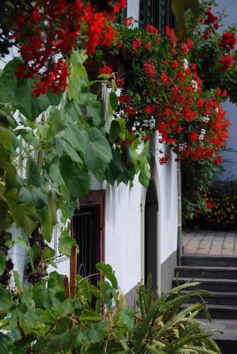  Haus Salzgeber-Mugg in Schruns