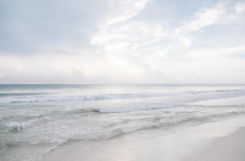 NEST Tulum