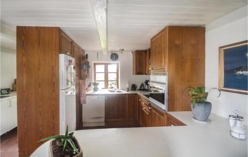 virtuve, Three-Bedroom Holiday Home In Orsted in Udbyhoj