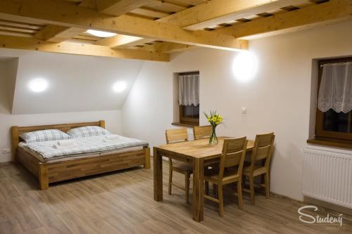 Apartmány Studený