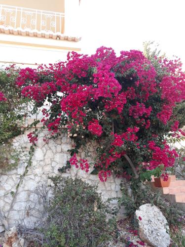  Spring Villa - Oasis Parque in Portimão