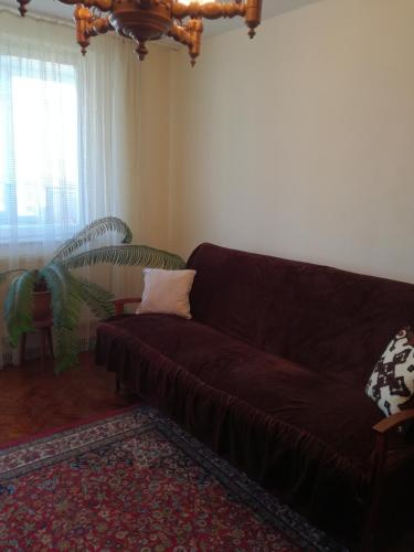 . Sara Apartman