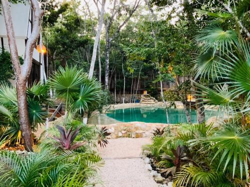 Nahouse Jungle Lodges in Tulum, Mexico